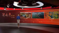 威尼斯人官网_威尼斯人网址_威尼斯人网站_习近平时间丨让良好